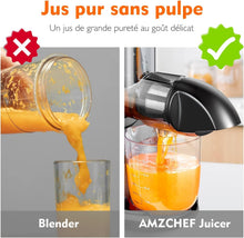 Load image into Gallery viewer, AMZCHEF Extracteur Jus - Extracteur de Jus de Fruits et Légumes - Presses-agrumes à Froid sans BPA avec 2 Tasses et Brosse - Fonction de Mastication Inversée pour Éviter les Blocages - Argent