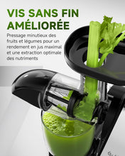 Load image into Gallery viewer, AMZCHEF Extracteur Jus - Extracteur de Jus de Fruits et Légumes - Presses-agrumes à Froid sans BPA avec 2 Tasses et Brosse - Fonction de Mastication Inversée pour Éviter les Blocages - Argent