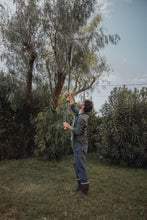 Load image into Gallery viewer, Fiskars Coupe-Branches Multifonctions Télescopique, pour Bois vert et Rameaux, Revêtement antiadhésif, Lame en acier/manche en aluminium, longueur 2,4 - 4 m, noir/orange, UPX86, 1023624