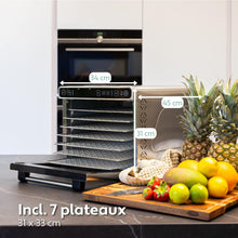 Load image into Gallery viewer, Vita5 Nobel Pro6 Deshydrateur Alimentaire avec 6 Plateaux en Inox - Déshydrateur avec Minuterie 24h et Température 35-75 °C - Deshydrateur Viande, Fruits, Champignons - 650W Déshydrateur Alimentaire