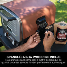 Load image into Gallery viewer, Ninja Woodfire Four à pizza extérieur électrique 8-en-1, rotissoire &amp; fumoir barbecue avec grille, plaque pro-heat, pierre à pizza, granulés de bois et pelle, 6 réglages, orange foncé OO101EU