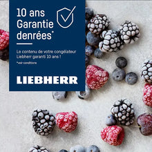 Load image into Gallery viewer, Congélateur top LIEBHERR FNdi1624