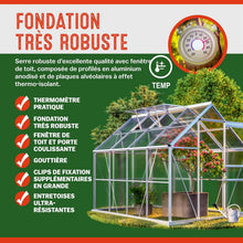 Load image into Gallery viewer, Gardebruk Serre de Jardin en Aluminium 7,63m³ abri extérieur pour Plantes légumes 250x190x195cm avec fenêtres