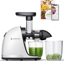 Load image into Gallery viewer, AMZCHEF Extracteur Jus - Extracteur de Jus de Fruits et Légumes - Presses-agrumes à Froid sans BPA avec 2 Tasses et Brosse - Fonction de Mastication Inversée pour Éviter les Blocages - Argent