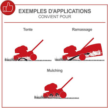 Load image into Gallery viewer, Scheppach Tondeuse à Gazon Thermique MS150-42 | Autotractée - 3,7 CV | Largeur de Coupe 42cm | Raccord Rapide de Nettoyage | Panier 45L | Hauteur - 7 Niveaux | Lame supp. + Huile Incluse