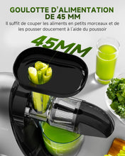 Load image into Gallery viewer, AMZCHEF Extracteur Jus - Extracteur de Jus de Fruits et Légumes - Presses-agrumes à Froid sans BPA avec 2 Tasses et Brosse - Fonction de Mastication Inversée pour Éviter les Blocages - Argent