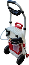 Load image into Gallery viewer, FORUM EQUIPEMENT - Pulvérisateur Électrique Pro Sprayer III 30L – Pulvérisateur Électrique Toiture Longue Portée à Batterie Rechargeable, Débit 240 L/H, Tuyau 8m - 2 Batteries